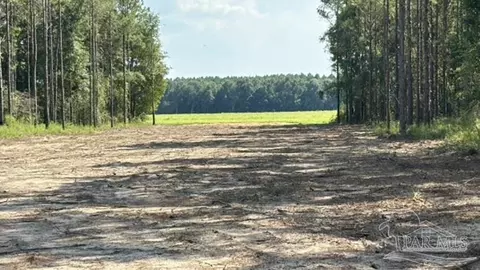lot89 Posie Forest Rd, Milton, FL 32570 photo 4