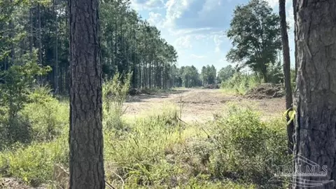 lot89 Posie Forest Rd, Milton, FL 32570 photo 3