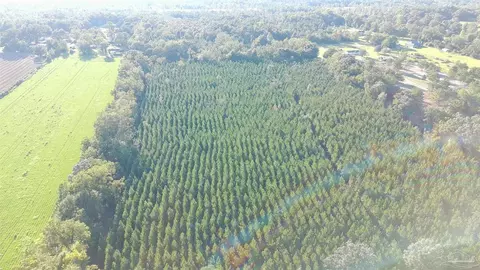 20 Acres Lewis Rd, Milton, FL 32570 photo 14