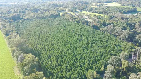 20 Acres Lewis Rd, Milton, FL 32570 photo 13