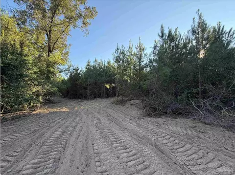 20 Acres Lewis Rd, Milton, FL 32570 photo 16