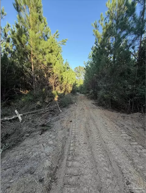 20 Acres Lewis Rd, Milton, FL 32570 photo 17