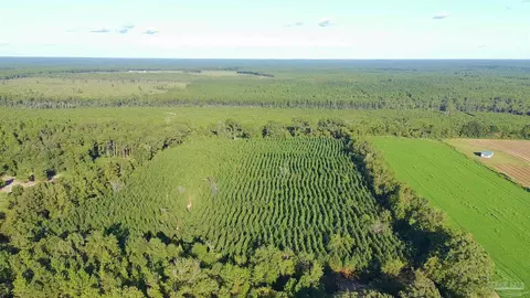 20 Acres Lewis Rd, Milton, FL 32570 photo 5