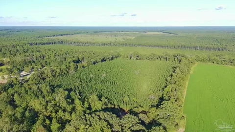 20 Acres Lewis Rd, Milton, FL 32570 photo 7