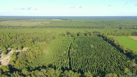 20 Acres Lewis Rd, Milton, FL 32570 photo 3
