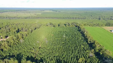 20 Acres Lewis Rd, Milton, FL 32570 photo 4