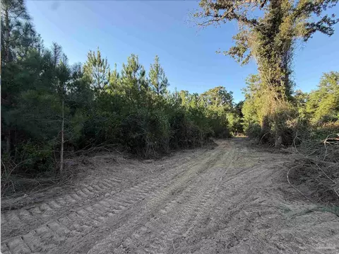 20 Acres Lewis Rd, Milton, FL 32570 photo 15