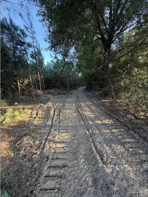 20 Acres Lewis Rd, Milton, FL 32570 photo 19