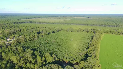 20 Acres Lewis Rd, Milton, FL 32570 photo 6