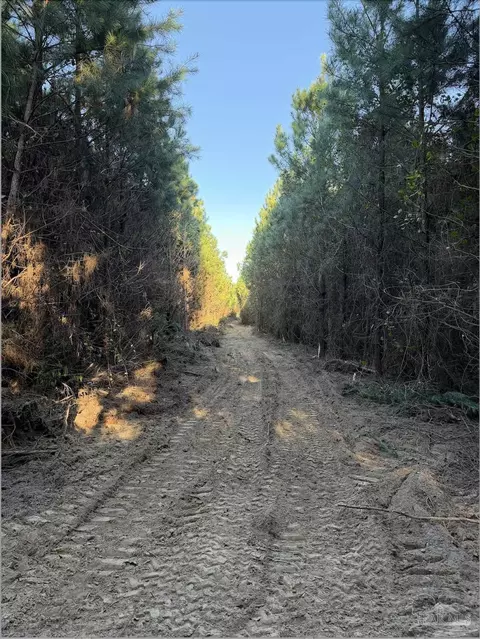 20 Acres Lewis Rd, Milton, FL 32570 photo 18