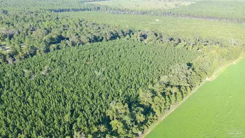 20 Acres Lewis Rd, Milton, FL 32570 photo 11