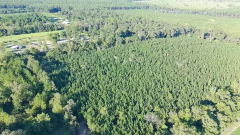 20 Acres Lewis Rd, Milton, FL 32570 photo 10