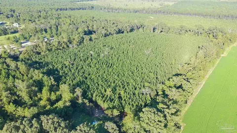 20 Acres Lewis Rd, Milton, FL 32570 photo 9