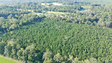 20 Acres Lewis Rd, Milton, FL 32570 photo 12