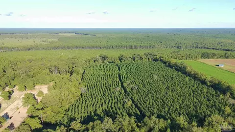 20 Acres Lewis Rd, Milton, FL 32570 photo 2