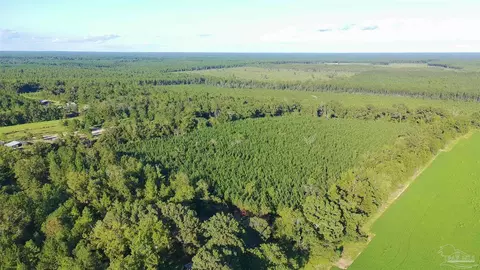 20 Acres Lewis Rd, Milton, FL 32570 photo 8