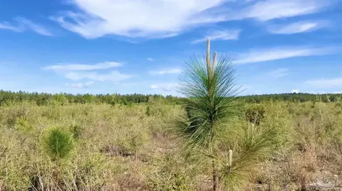lot55 S Timber Ln, Jay, FL 32565 photo 2