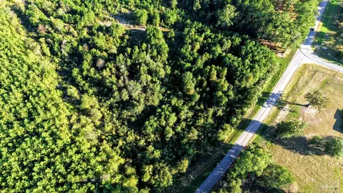 0 Nathan Jordan Rd, Millry, AL 36558 photo 8