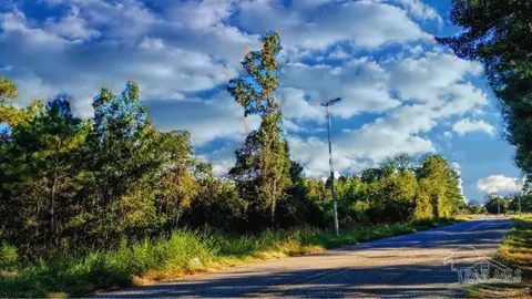 0 Nathan Jordan Rd, Millry, AL 36558 photo 5