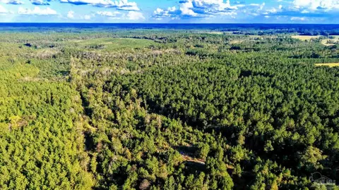 0 Nathan Jordan Rd, Millry, AL 36558 photo 35