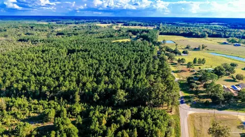 0 Nathan Jordan Rd, Millry, AL 36558 photo 18