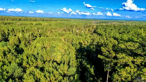 0 Nathan Jordan Rd, Millry, AL 36558 photo 34
