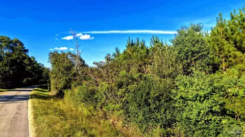 0 Nathan Jordan Rd, Millry, AL 36558 photo 4