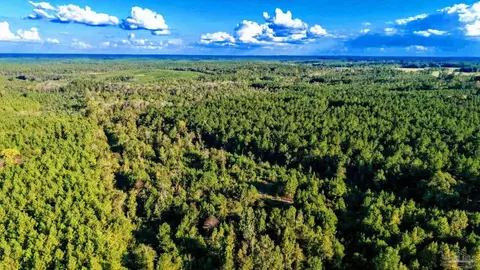 0 Nathan Jordan Rd, Millry, AL 36558 photo 30