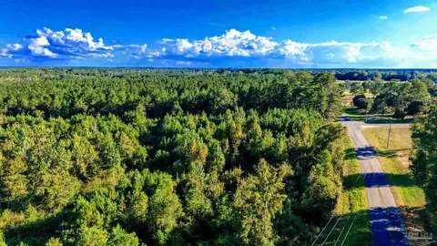 0 Nathan Jordan Rd, Millry, AL 36558