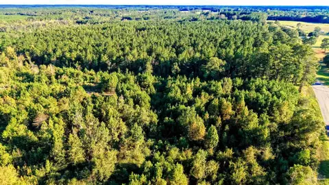 0 Nathan Jordan Rd, Millry, AL 36558 photo 37