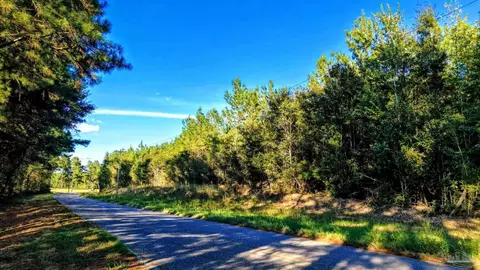 0 Nathan Jordan Rd, Millry, AL 36558 photo 3
