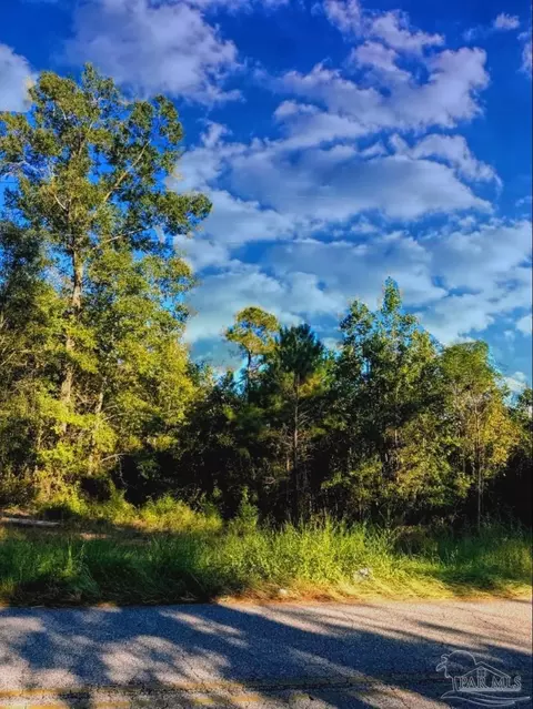 0 Nathan Jordan Rd, Millry, AL 36558 photo 12