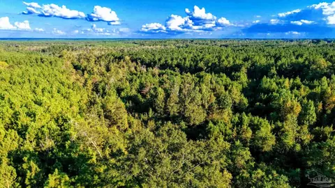 0 Nathan Jordan Rd, Millry, AL 36558 photo 27