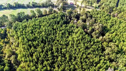 0 Nathan Jordan Rd, Millry, AL 36558 photo 52