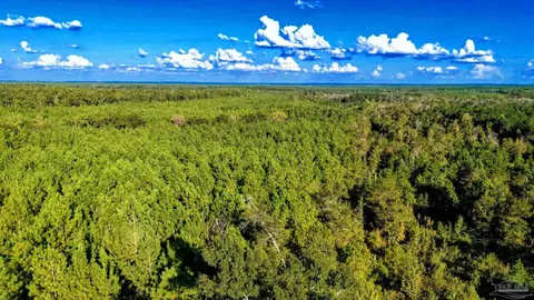 0 Nathan Jordan Rd, Millry, AL 36558 photo 32