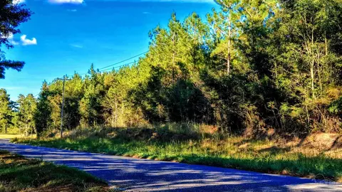 0 Nathan Jordan Rd, Millry, AL 36558 photo 10