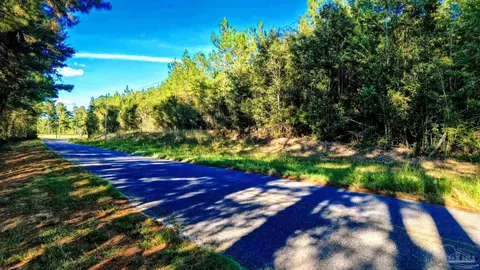 0 Nathan Jordan Rd, Millry, AL 36558 photo 19
