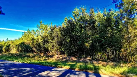 0 Nathan Jordan Rd, Millry, AL 36558 photo 9