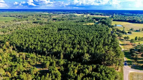0 Nathan Jordan Rd, Millry, AL 36558 photo 6