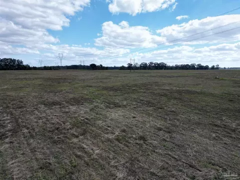00 Rube Steadham Rd, Atmore, AL 36502 photo 5