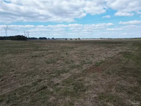 00 Rube Steadham Rd, Atmore, AL 36502 photo 6