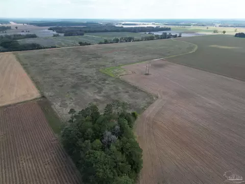 00 Rube Steadham Rd, Atmore, AL 36502 photo 8