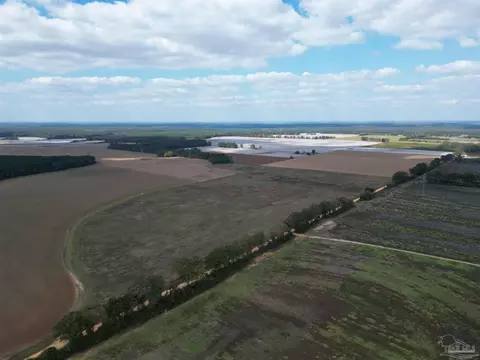 00 Rube Steadham Rd, Atmore, AL 36502 photo 12