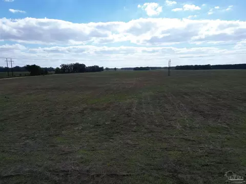 00 Rube Steadham Rd, Atmore, AL 36502 photo 9