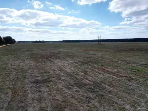 00 Rube Steadham Rd, Atmore, AL 36502 photo 10