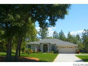 2867 N Hamlin Ter, Hernando, FL 34442 photo 4
