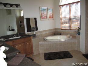 1237 W Double Eagle Ct, Hernando, FL 34442 photo 5
