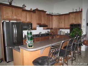 1237 W Double Eagle Ct, Hernando, FL 34442 photo 6