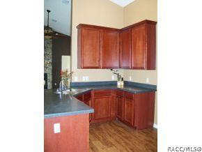 1114 S Softwind Lp, Lecanto, FL 34461 photo 10