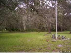 165 Daisy, Inglis, FL 34449 photo 2